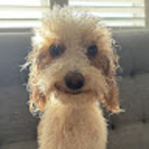 Meet your Posher, Clara